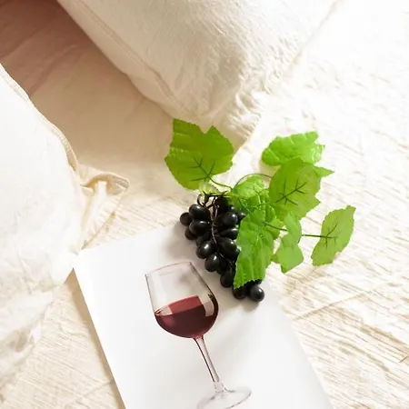 Douce Parenthese A Carcassonne