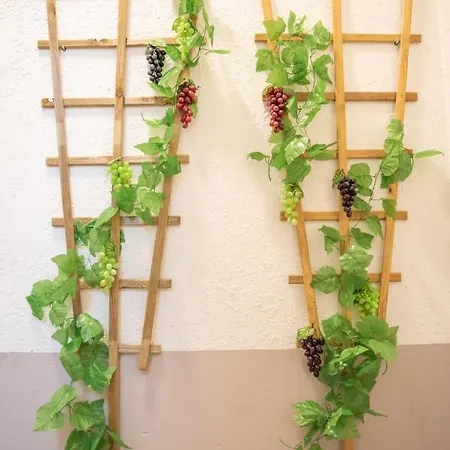 Douce Parenthese A Daire Carcassonne