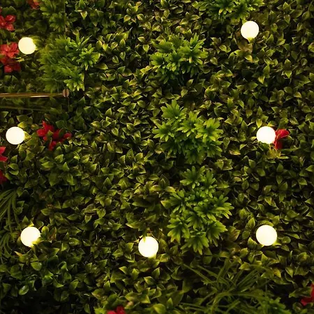 Apartamento Douce Parenthese A Carcasona