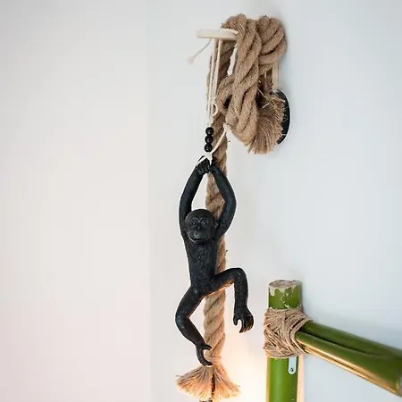 Daire Douce Parenthese A Carcassonne