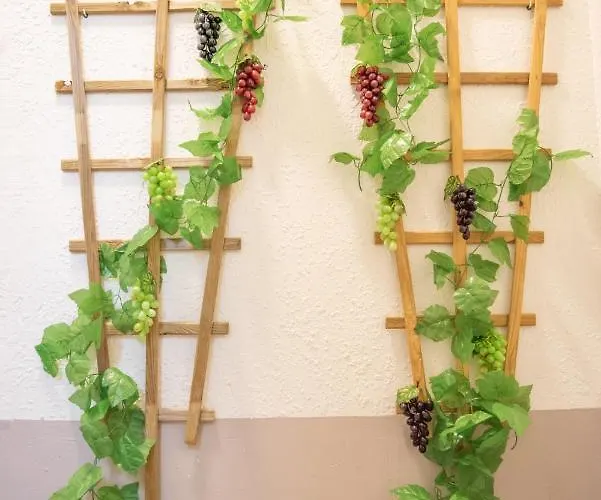 Douce Parenthese A Apartment Carcassonne